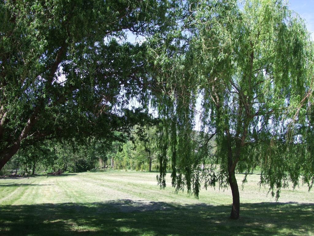 La Magnanerie D'Hotes ,Le Jardin Secret Sauve Bagian luar foto
